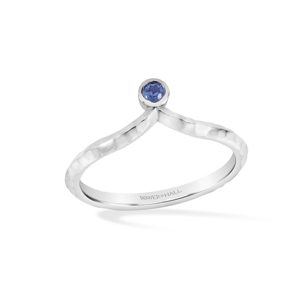 TWR102-S-BSAPP-Dower-and-Hall-Sterling-Silver-Sapphire-Wish-Twinkle-Ring-1