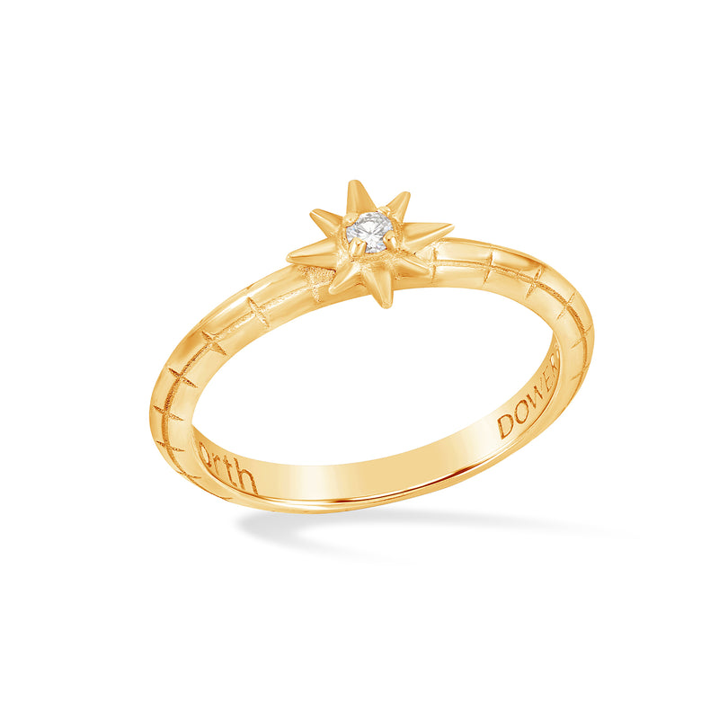 TWR104-14Y-DIA-Dower-and-Hall-14k-Yellow-Gold-Diamond-True-North-Twinkle-Ring-1