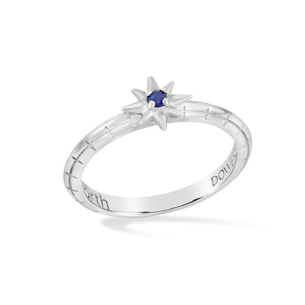 TWR104-S-BSAPP-Dower-and-Hall-Sterling-Silver-Sapphire-True-North-Twinkle-Ring