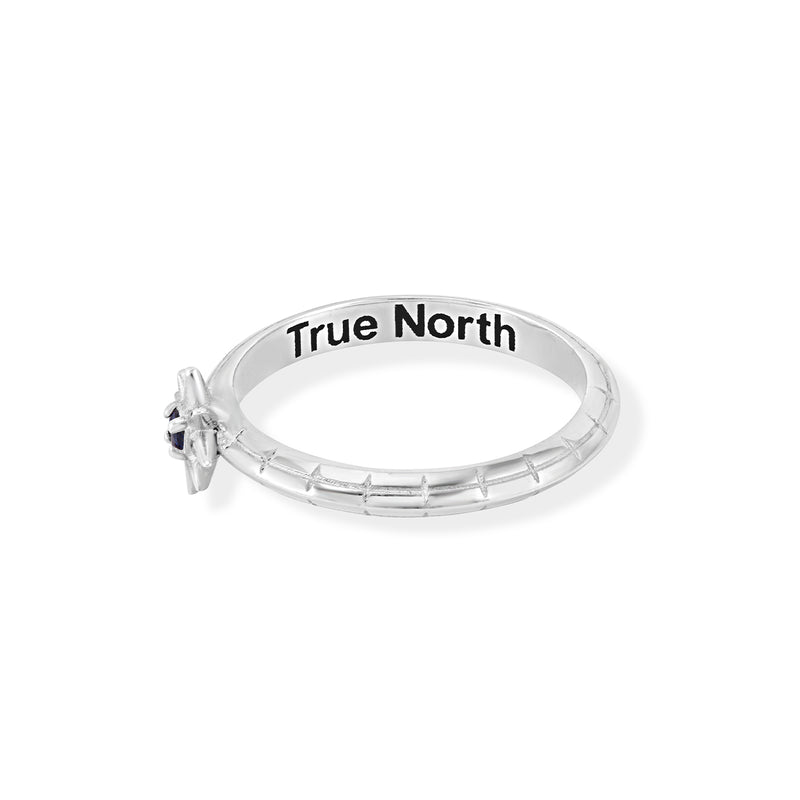 TWR104-S-BSAPP-Dower-and-Hall-Sterling-Silver-Sapphire-True-North-Twinkle-Ring-2